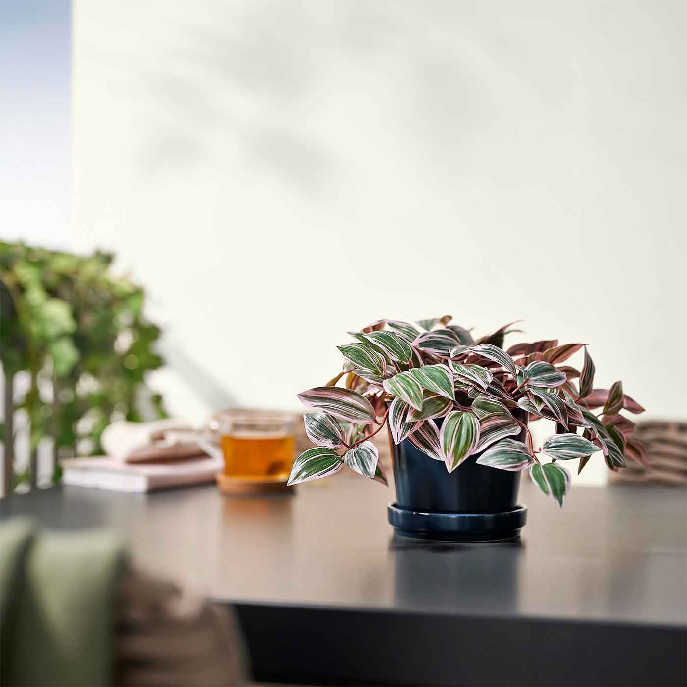 گیاه مصنوعی برگ بیدی ایکیا مدل IKEA FEJKA